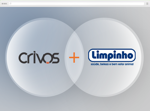 Criação de Sites - Limpinho
