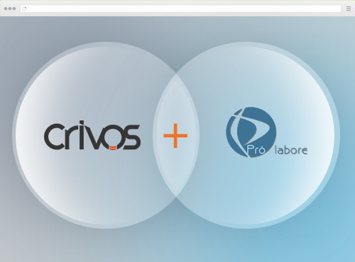 Criação de Sites - Pró Labore